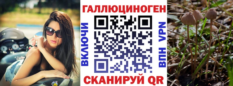Купить закладки  Чебаркуль  Галлюциногенные грибы мицелий 